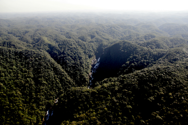 São Paulo caminha para explorar e incentivar ecoturismo na cidade